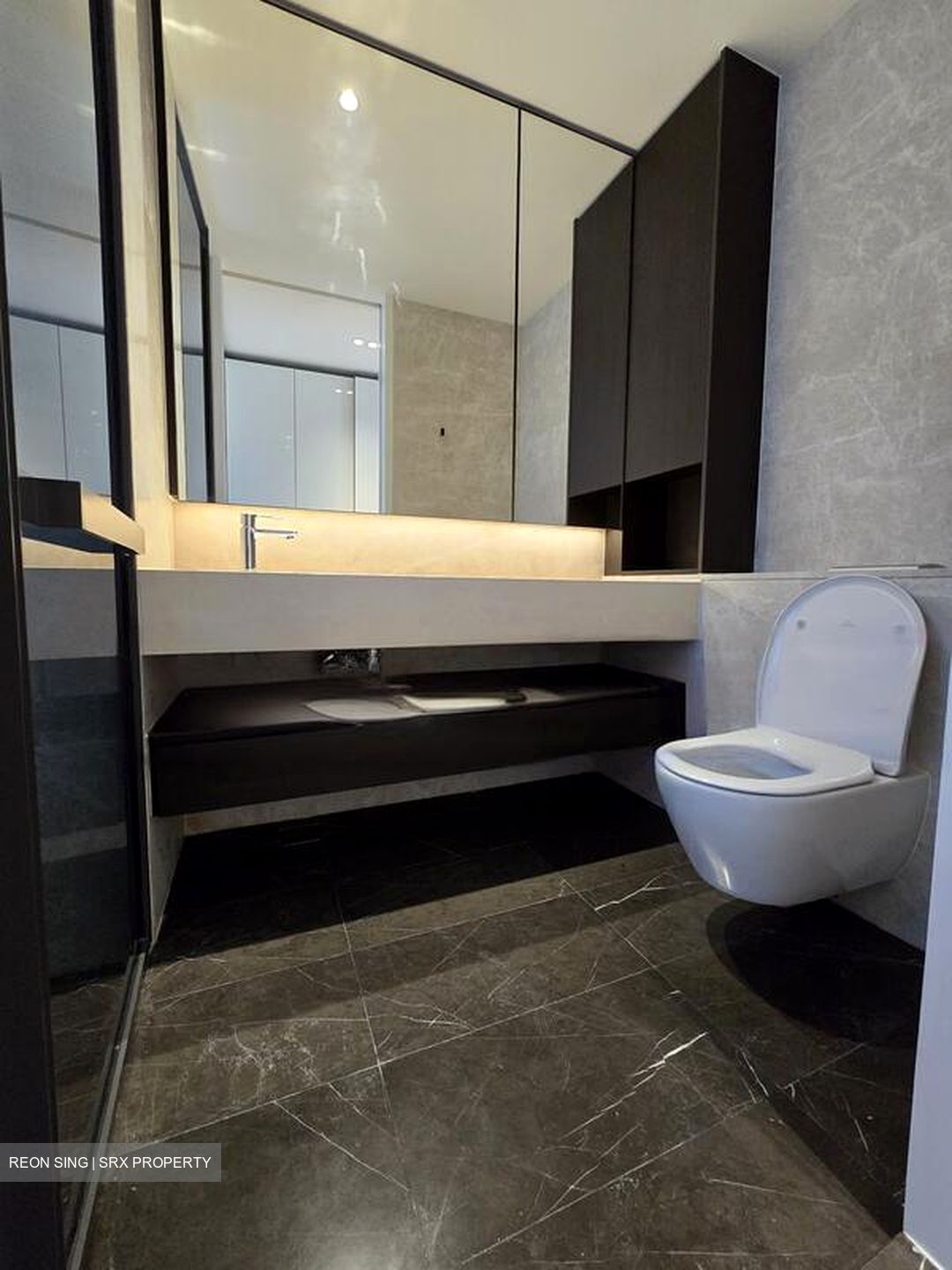 Amber Park (D15), Condominium #457937491
